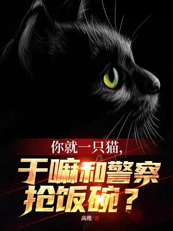 你就一只猫干嘛和警察抢饭碗.全文阅读