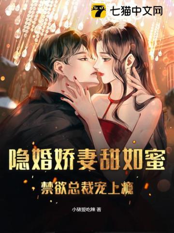 隐婚总裁甜文