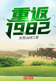 重返1982小渔村全文免费阅读