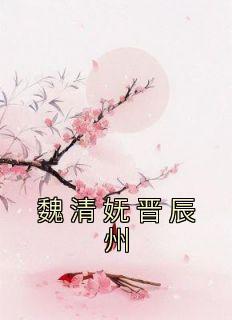 魏清妩晋辰州是什么