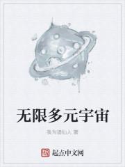 无限多元宇宙境界