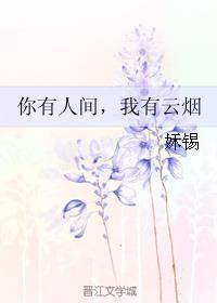 你有人间我有云烟类似的高干文