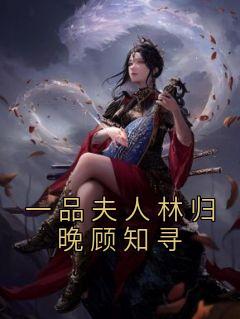 一品夫人免费阅读