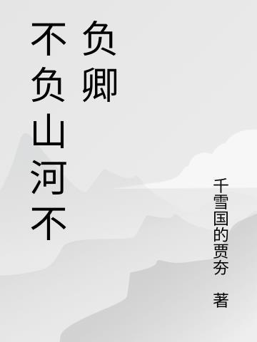 不负山河不负卿文案