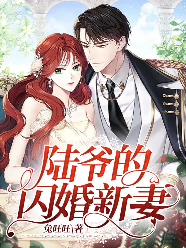 陆爷的闪婚新妻唐宝宝