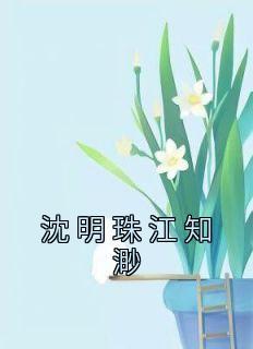 女主叫沈明珠的