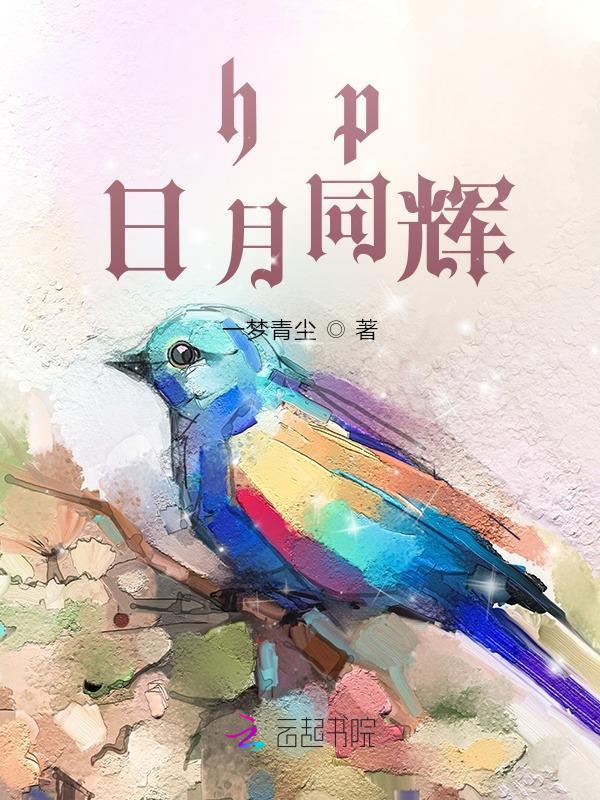 日月同辉怎么获得