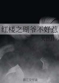 红楼之瑚爷不好惹txt