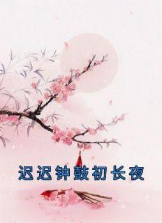 迟迟钟鼓初长夜结局