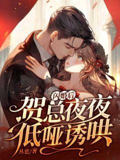 贺总闪婚后甜宠