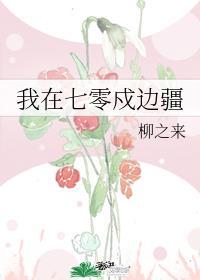 边疆来了个娇媳妇年代