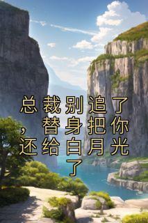 总裁别追我免费