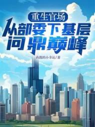 重生官场从部委下基层问鼎巅峰叶正刚