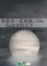 和哒宰一起被港口Mafia追杀的日子晋江