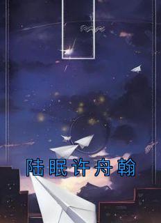 陆眠是哪本