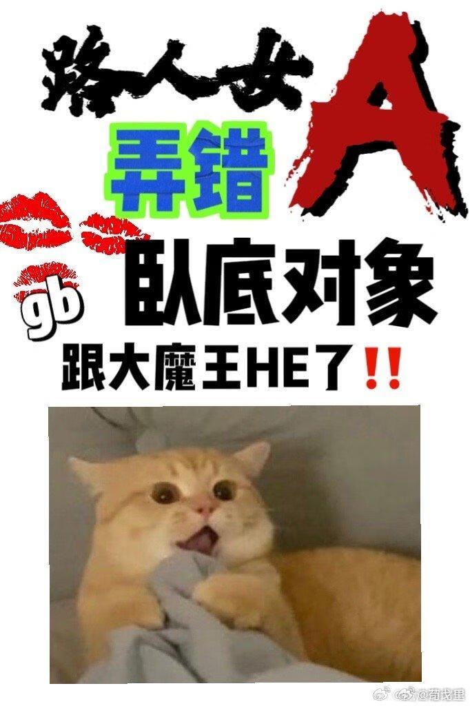 路人女a认错卧底对象