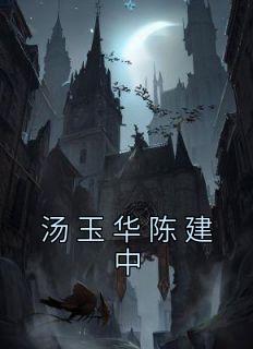 汤建英华侨