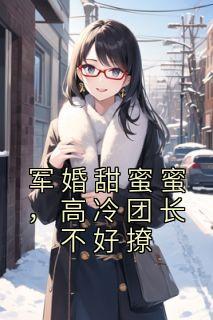 军婚甜蜜蜜高冷团长不好撩蒋南衡苏韵