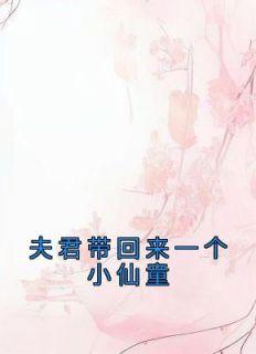 夫君带回来一个小仙童漫画