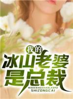 叶无极吴婧瑶