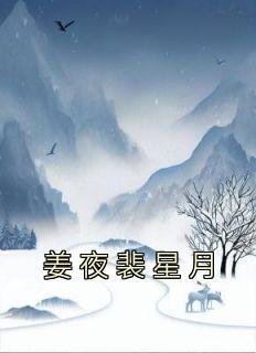 有夜自携星月来 解析