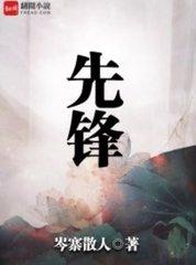 先锋太盟车贷app