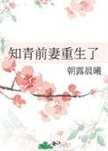 知青前妻重生了免费阅读全文