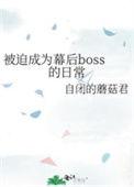 被迫成为幕后boss的日常讲了什么