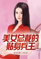 美女总裁的贴身兵王秦枫