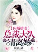 闪婚成爱总裁大人请温柔