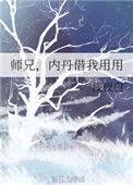 师兄内丹借我用用讲的什么