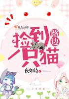 路边捡到一只猫漫画