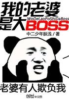 我的老婆是大BOSS-中二少年肤浅