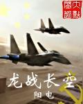 龙战长空类似