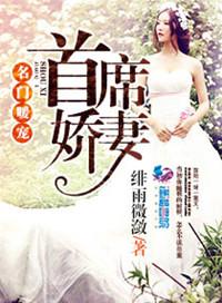 名门宠婚首席的小甜妻