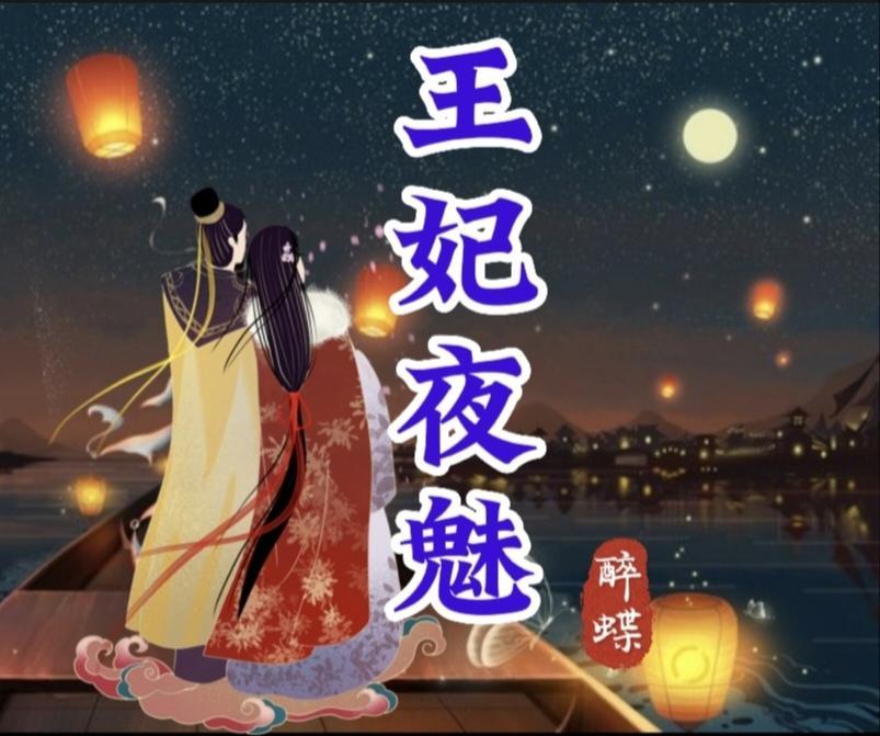 夜王妃是什么动漫