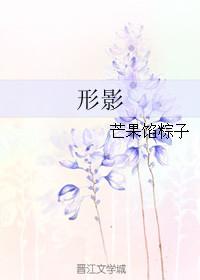 形影by芒果馅粽子