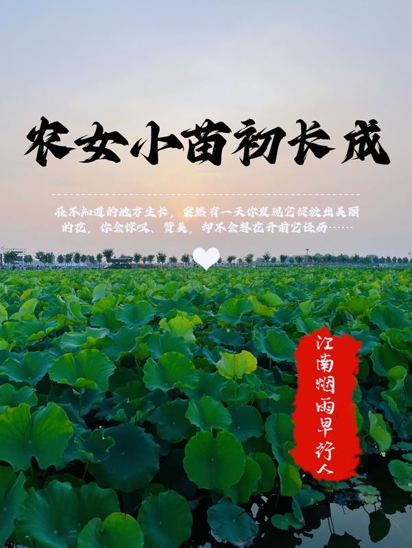 小农女种田记全文免费阅读