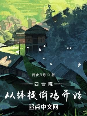 四合院从棒梗偷鸡开始_(雨夜八月)