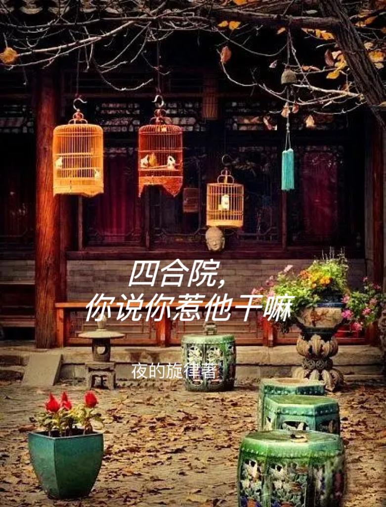 四合院你说你惹他干嘛夜的