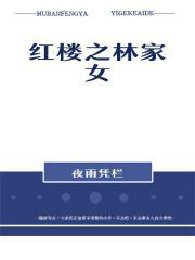 红楼之林家女婿全文