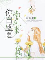 盛夏南风草木香