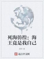 死海王是什么意思?