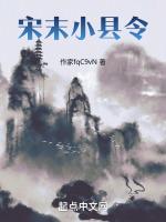 北宋小县令