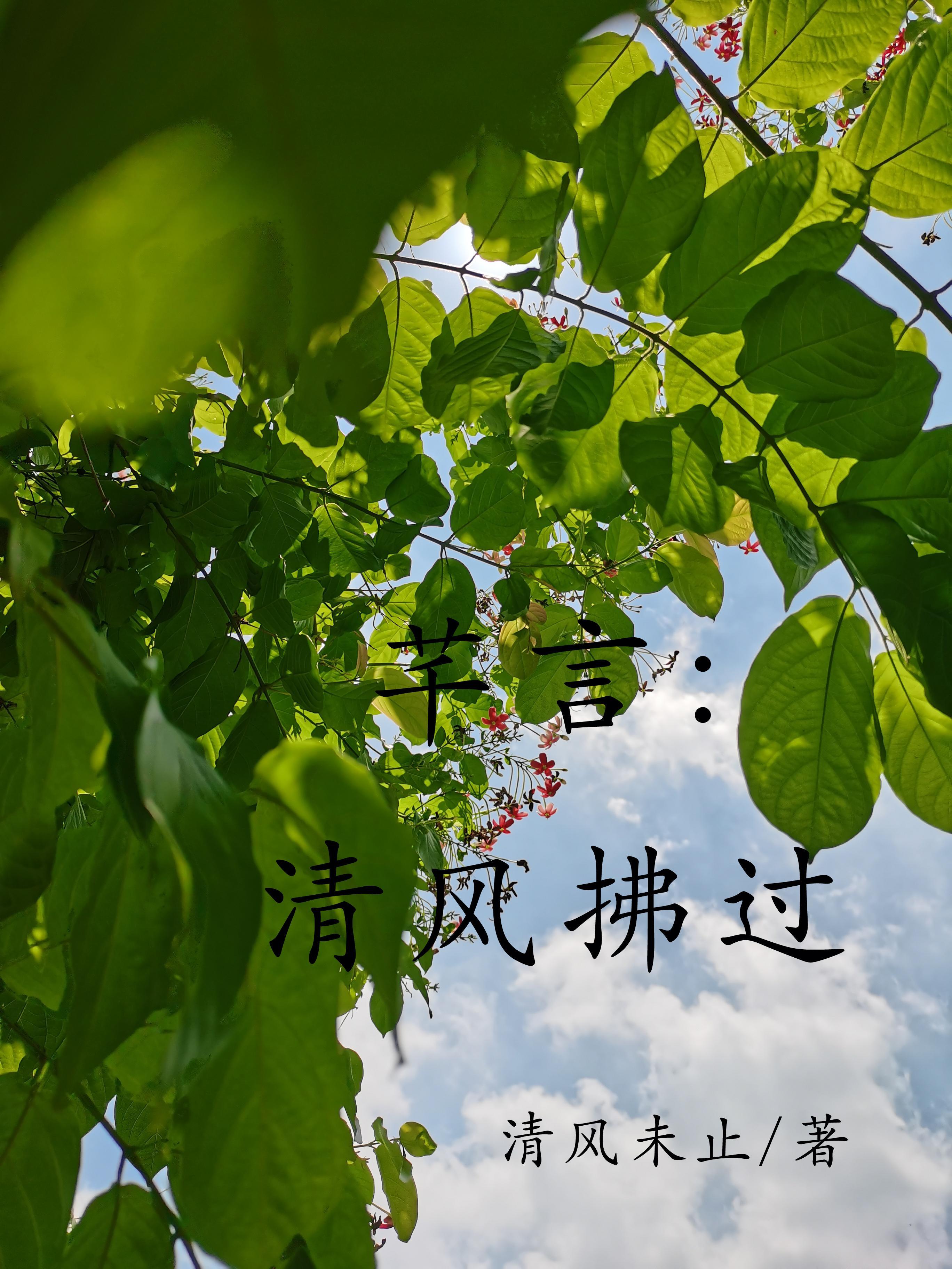 清风拂去什么意思