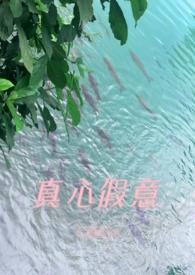 测他对我是真心还是假意