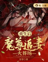 女主叫叶欢颜的叫什么名字