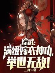 综武满级嫁衣神功举世无敌TXT