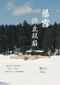 暴雪停止以后无广告