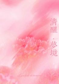 清醒梦境师生